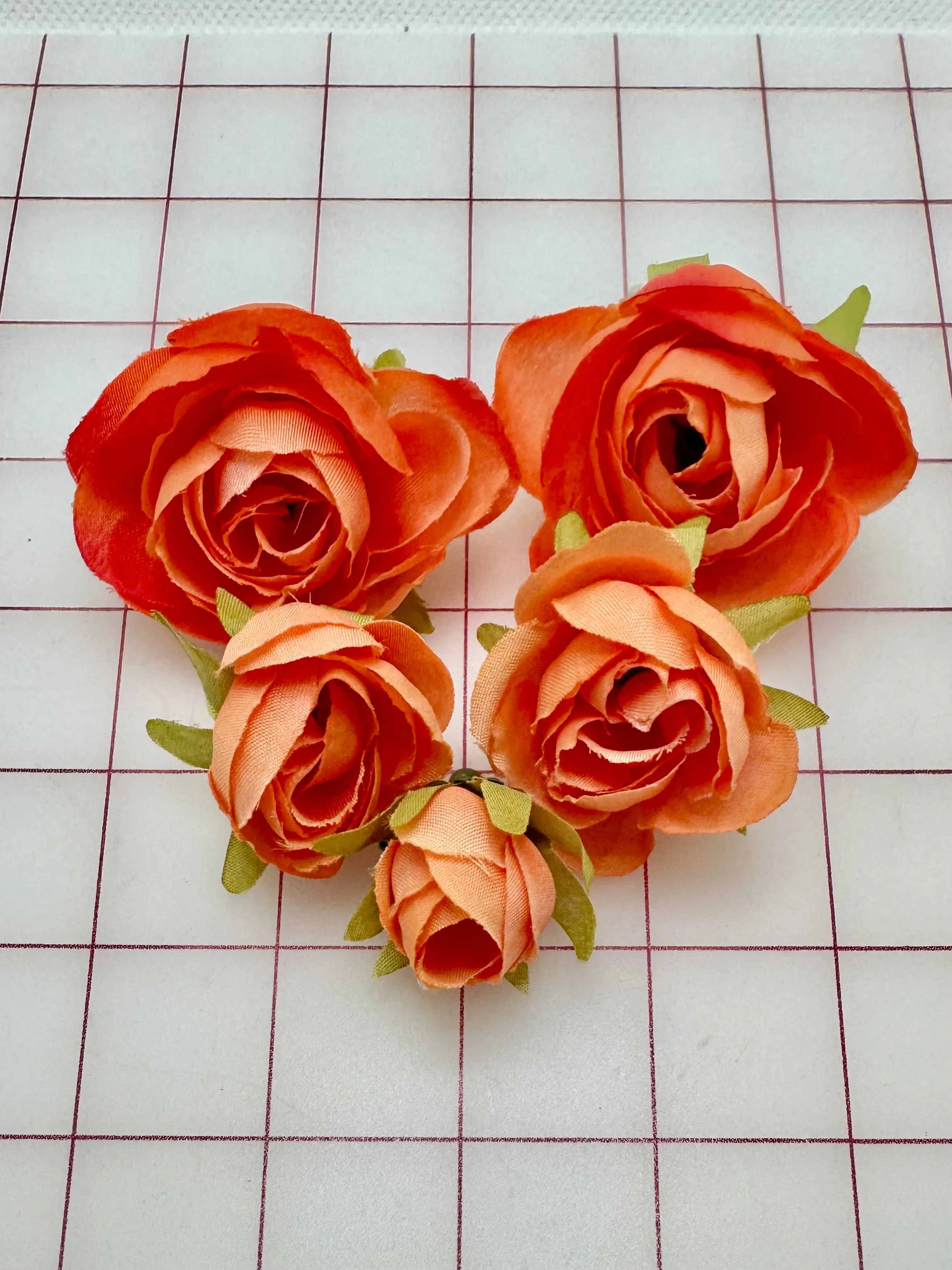 Flowers - Roses Coral 5-Pack