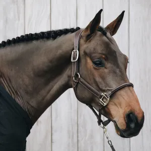 Kentucky Horsewear Anatomic Leather Headcollar - Brown