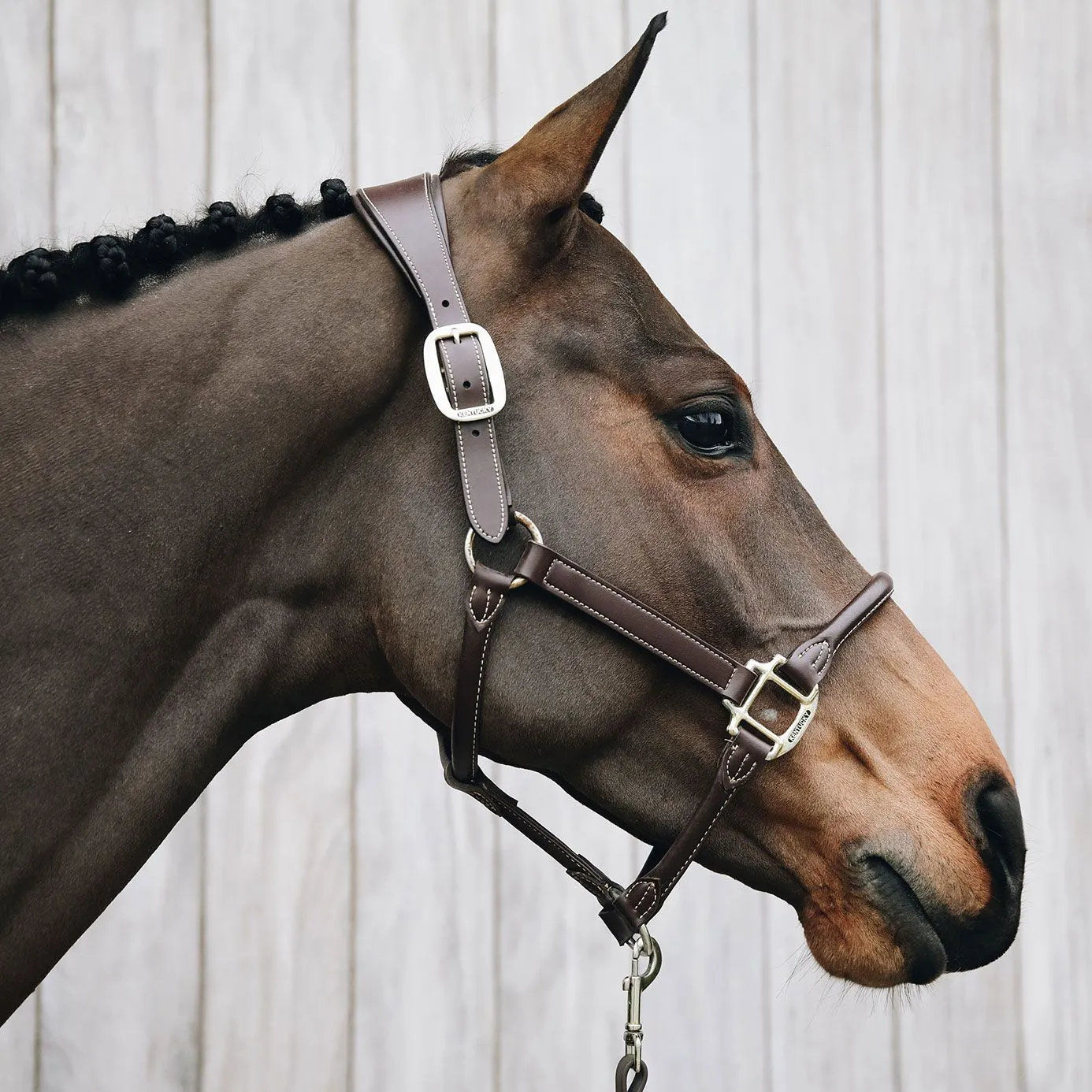 Kentucky Horsewear Anatomic Leather Headcollar - Brown