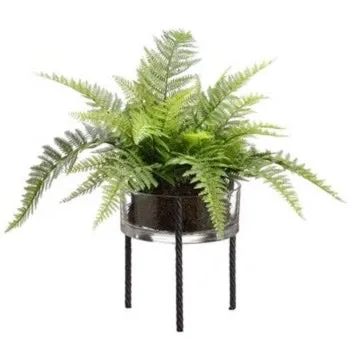 Leather Fern in Glass Vase